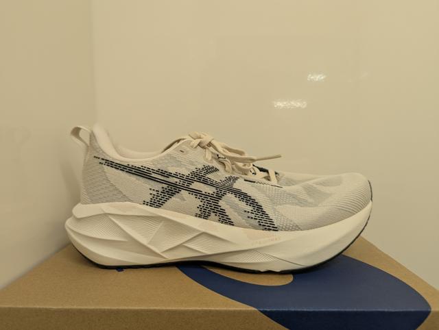 ASICS NOVABLAST 5 メンズ ランニングシューズ オートミール ブラック 1011B974 250